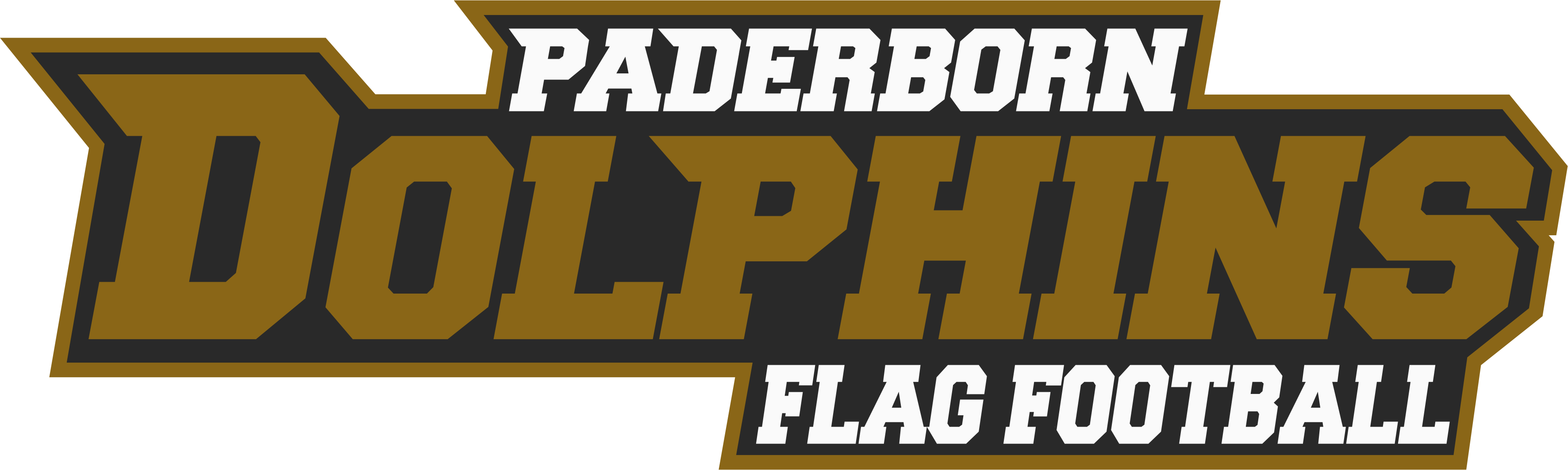 Dolphins Flag Football